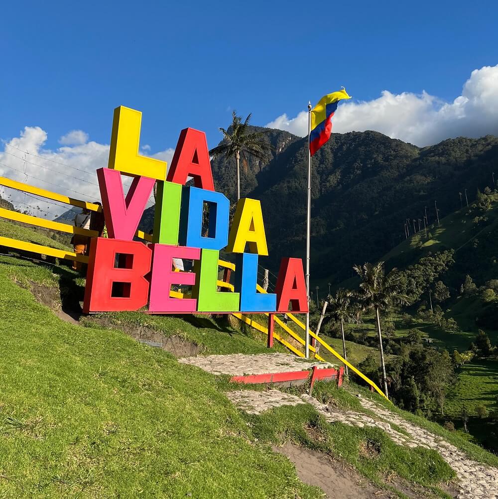 Visitantes disfrutando La Vida Bella en el Valle de Cocora