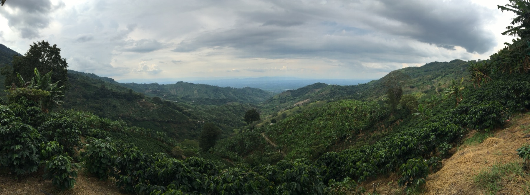 Paisaje verde de montaña en el departamento del Quindío